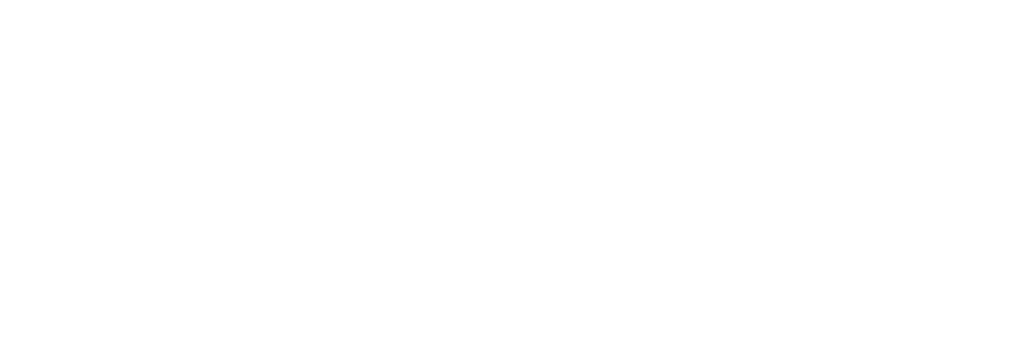 ingressodecirco.com.br